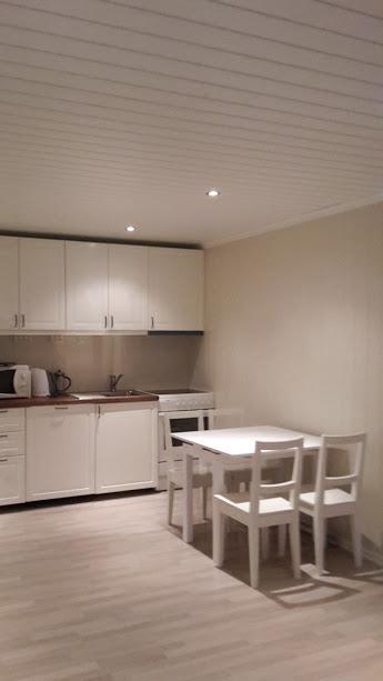 Odlandsvegen Basement Apartment Røldal Extérieur photo