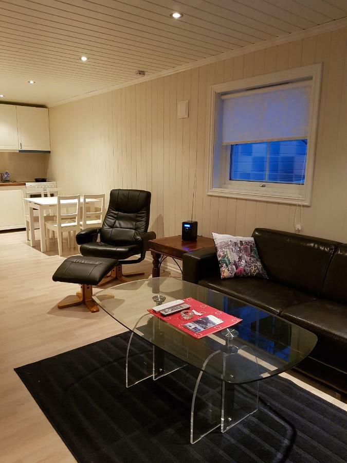 Odlandsvegen Basement Apartment Røldal Extérieur photo